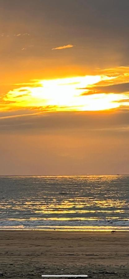 Appartement 100 M De La Saint-Palais-sur-Mer